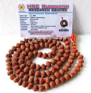 Rare 10 Mukhi Rudraksha Mala Ten Face Rudraksh Rosary 108,  1 Java Certified 8mm