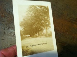 1920s Post Card Photo Maples At Warwick Mass Flag Cancel 27may19