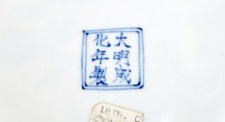 A Chinese Blue and White Porcelain Dish 3