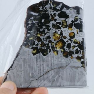 116g Meteorite Seymchan Pallasite Etched Slice S7552