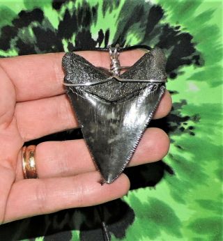 2 5/8  MEGALODON SHARKS TOOTH NECKLACE PENDANT SHARKS TOOTH TEETH 3