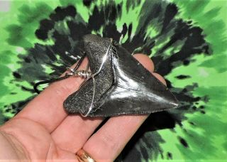 2 5/8  MEGALODON SHARKS TOOTH NECKLACE PENDANT SHARKS TOOTH TEETH 4