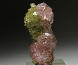 Exquisite Elegant Gem Pink Grossular Garnet w/ Diopside Jeffrey Mine Canada 12