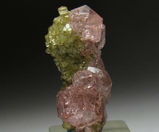 Exquisite Elegant Gem Pink Grossular Garnet W/ Diopside Jeffrey Mine Canada