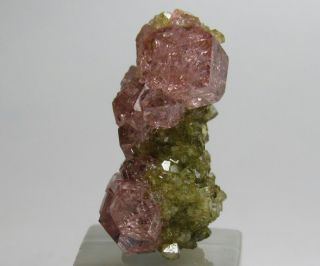 Exquisite Elegant Gem Pink Grossular Garnet w/ Diopside Jeffrey Mine Canada 2