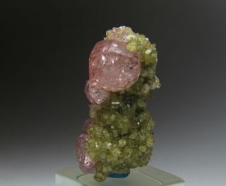 Exquisite Elegant Gem Pink Grossular Garnet w/ Diopside Jeffrey Mine Canada 9