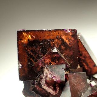 Fluorite Dark Purple - Orange Crystals Frohnau,  Germany