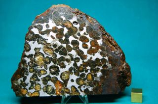 Sericho meteorite Pallasite 288 grams 2