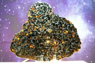 Sericho Pallasite Meteorite from Kenya Africa Habaswein 367.  7g complete slice 4
