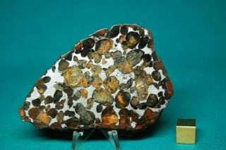 Sericho Meteorite Pallasite 108.  5 Grams