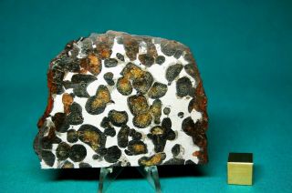 Sericho Meteorite Pallasite 101.  3 Grams