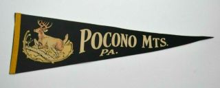 Vintage Pocono Mountains,  Pa Felt Flag Pennant 9 " X 27 "