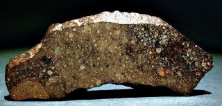 Nwa 6388 (provisional) Rumuruti Chondrite Meteorite R3.  9 Tkw 42.  3 Grams