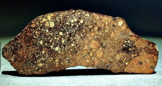 NWA 6388 (provisional) Rumuruti Chondrite Meteorite R3.  9 TKW 42.  3 grams 2