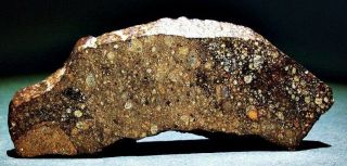 NWA 6388 (provisional) Rumuruti Chondrite Meteorite R3.  9 TKW 42.  3 grams 3