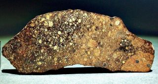 NWA 6388 (provisional) Rumuruti Chondrite Meteorite R3.  9 TKW 42.  3 grams 4