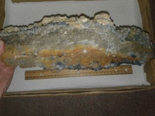 large specimen of blue fluorite,  Royal Flush mine,  Bingham,  Mexico P99 4