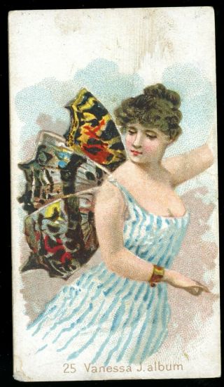 1888 N183 Wm S.  Kimball Cigarettes Butterflies - 25 Vanessa J.  Album