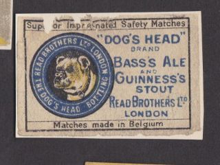 Ae Old Matchbox Label Belgium Vvvv14 Bulldog Dog 