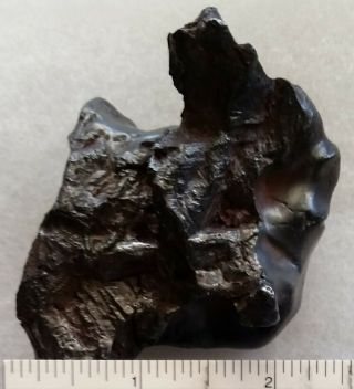 Meteorite Sikhote - Alin 405 grams 3