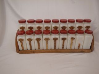 Set Of 18 Griffith Lab Spice Milk Glass Jars Red Lids With Wood Rack