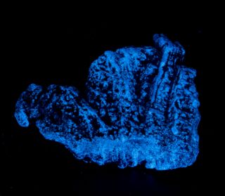 Bright Blue Benitoite Fluorescence - State Gem Of California - Rare - 35 Carats