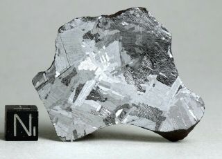 Meteorite MUNDRABILLA - Big 52.  0g perfect etched Endcut Iron Australia 4