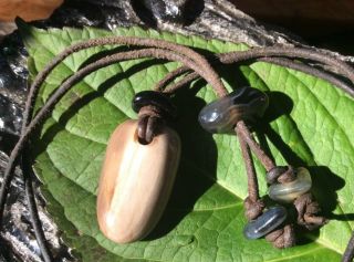 Deschutes Petrified Wood / Oregon Blue Black Agate Necklace Rare Black Banding