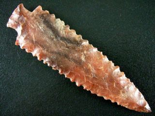 Fine Authentic Collector Grade 10 Florida Kirk Stemmed Point Arrowheads 2