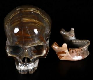 Huge 5.  0 " Petrified Wood Carved Crystal Detachable Skull,  Crystal Healing