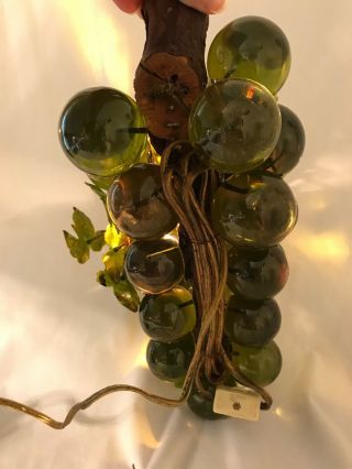 Vintage Acrylic Lucite Grape Cluster Green Lighted Plastic Vines DriftWood Retro 4