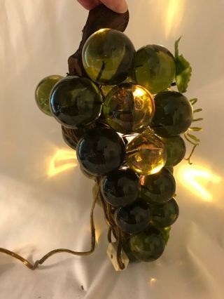 Vintage Acrylic Lucite Grape Cluster Green Lighted Plastic Vines DriftWood Retro 5