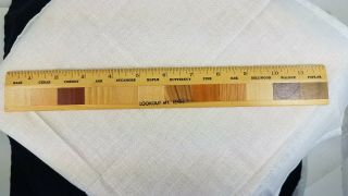 Lookout Mt Tenn Souvenir 12 Inch Ruler Made With 12 Different Wood Samples