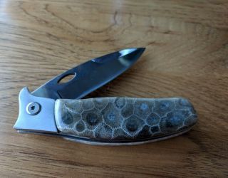 Petoskey Stone Folding Knife - Hand Made 3