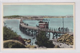 Vintage Postcard The Causeway Victor Harbour South Australia 1900s