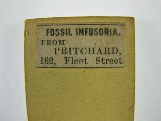 A Rare Antique Microscope Slide By Andrew Pritchard.  Fossil Infusoria.