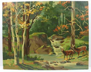 Vintage Mid Century Paint By Number 16 X 20 Deer Scene