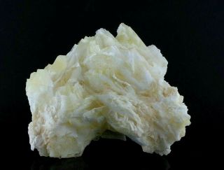 Angel Wing Calcite Crystal Specimen (4 Lb 12.  4 Oz) –durango,  Mexico Lg3