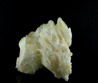 Angel Wing Calcite Crystal Specimen (4 lb 12.  4 oz) –Durango,  Mexico LG3 2
