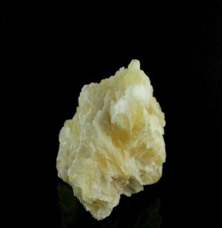 Angel Wing Calcite Crystal Specimen (4 lb 12.  4 oz) –Durango,  Mexico LG3 3