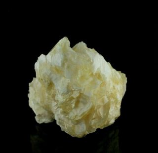 Angel Wing Calcite Crystal Specimen (4 lb 12.  4 oz) –Durango,  Mexico LG3 4