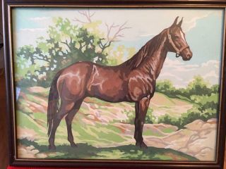 Vintage Framed Paint By Numbers Thoroughbred Horse Picture