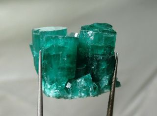 41.  5 Ct Chatham Emerald Cluster - Lab Grown Actual Emerald Cluster - Rough