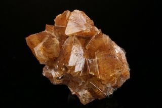 UNUSUAL Adamite Crystal Cluster OJUELA MINE,  MEXICO - Ex.  Robertson 4