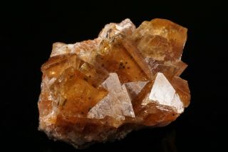 UNUSUAL Adamite Crystal Cluster OJUELA MINE,  MEXICO - Ex.  Robertson 5