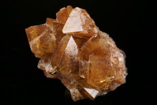 UNUSUAL Adamite Crystal Cluster OJUELA MINE,  MEXICO - Ex.  Robertson 8