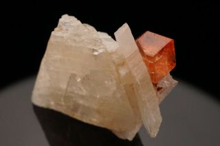 AESTHETIC Spessartine Garnet Crystal on Albite CONSELHEIRO PENA,  BRAZIL 12