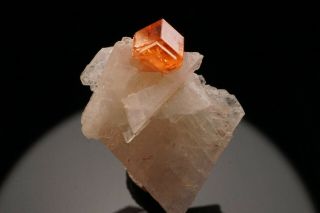 Aesthetic Spessartine Garnet Crystal On Albite Conselheiro Pena,  Brazil