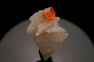 AESTHETIC Spessartine Garnet Crystal on Albite CONSELHEIRO PENA,  BRAZIL 9