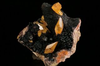 Unique Yellow Calcite Crystal Cluster Cobre Mine,  Mexico